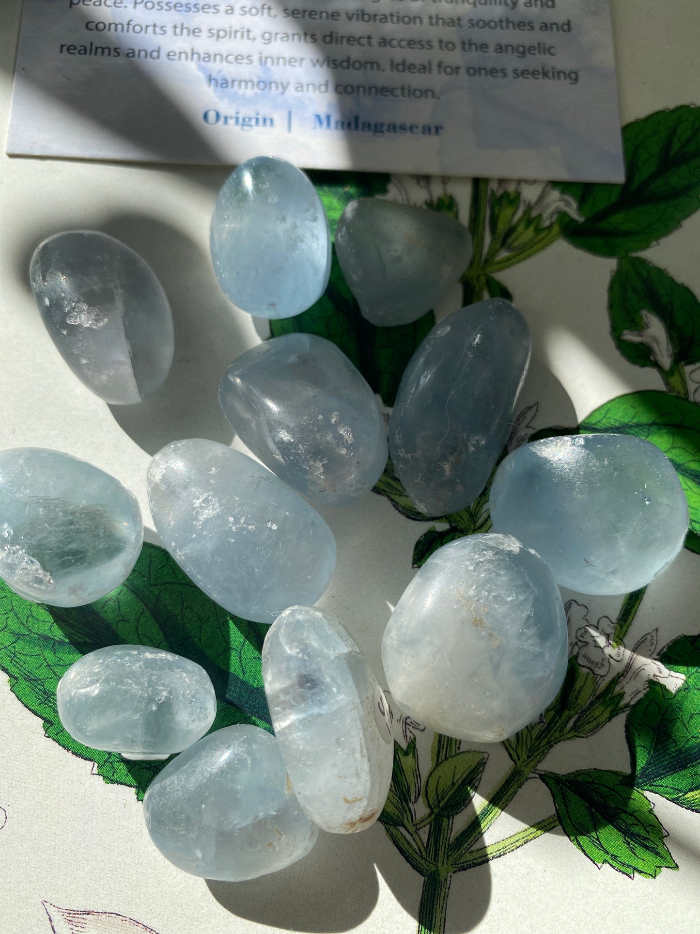 Celestite Tumbled - Moon Room Shop and Wellness