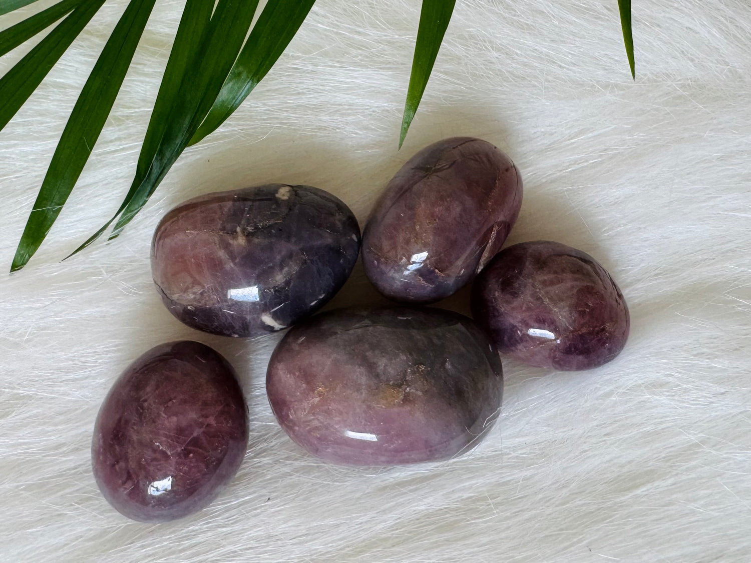 Purple Rose Quartz Tumbled - Moon Room Shop and Wellness