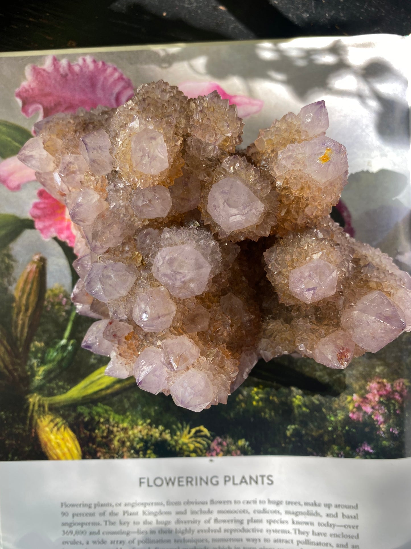 Spirit Quartz Specimen/Cluster 2.68 lb -South Africa - Moon Room Shop and Wellness