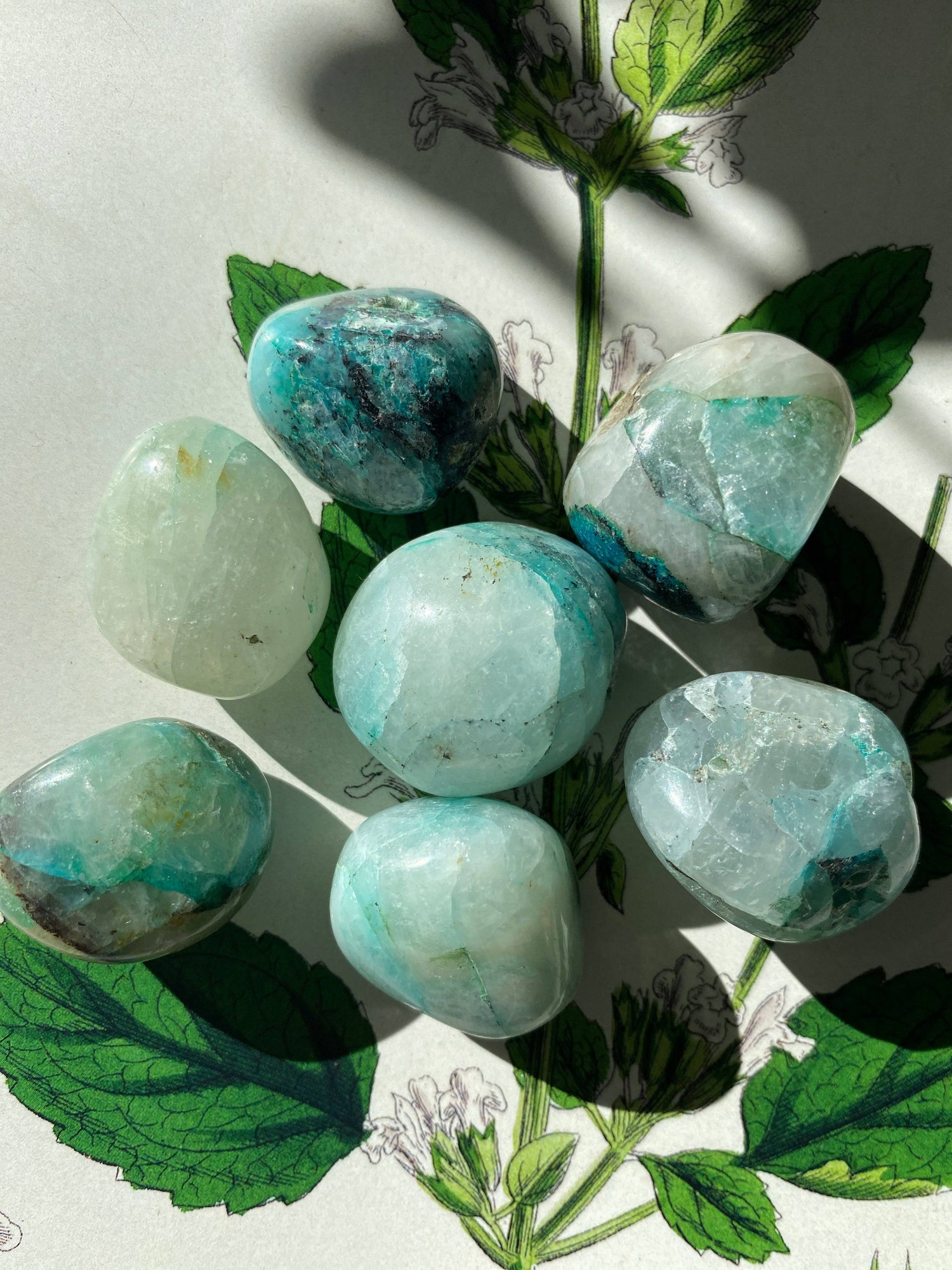 Chrysocolla and Quartz Tumbled- Peru - Moon Room Shop and Wellness