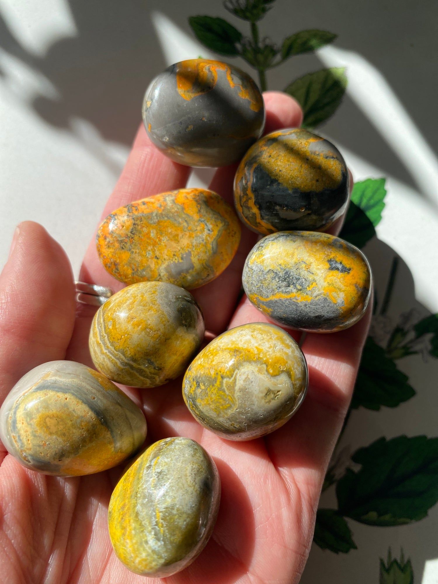 Bumblebee Jasper Tumbled - Moon Room Shop and Wellness