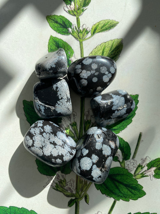 Snowflake Obsidian Tumbled - Moon Room Shop and Wellness