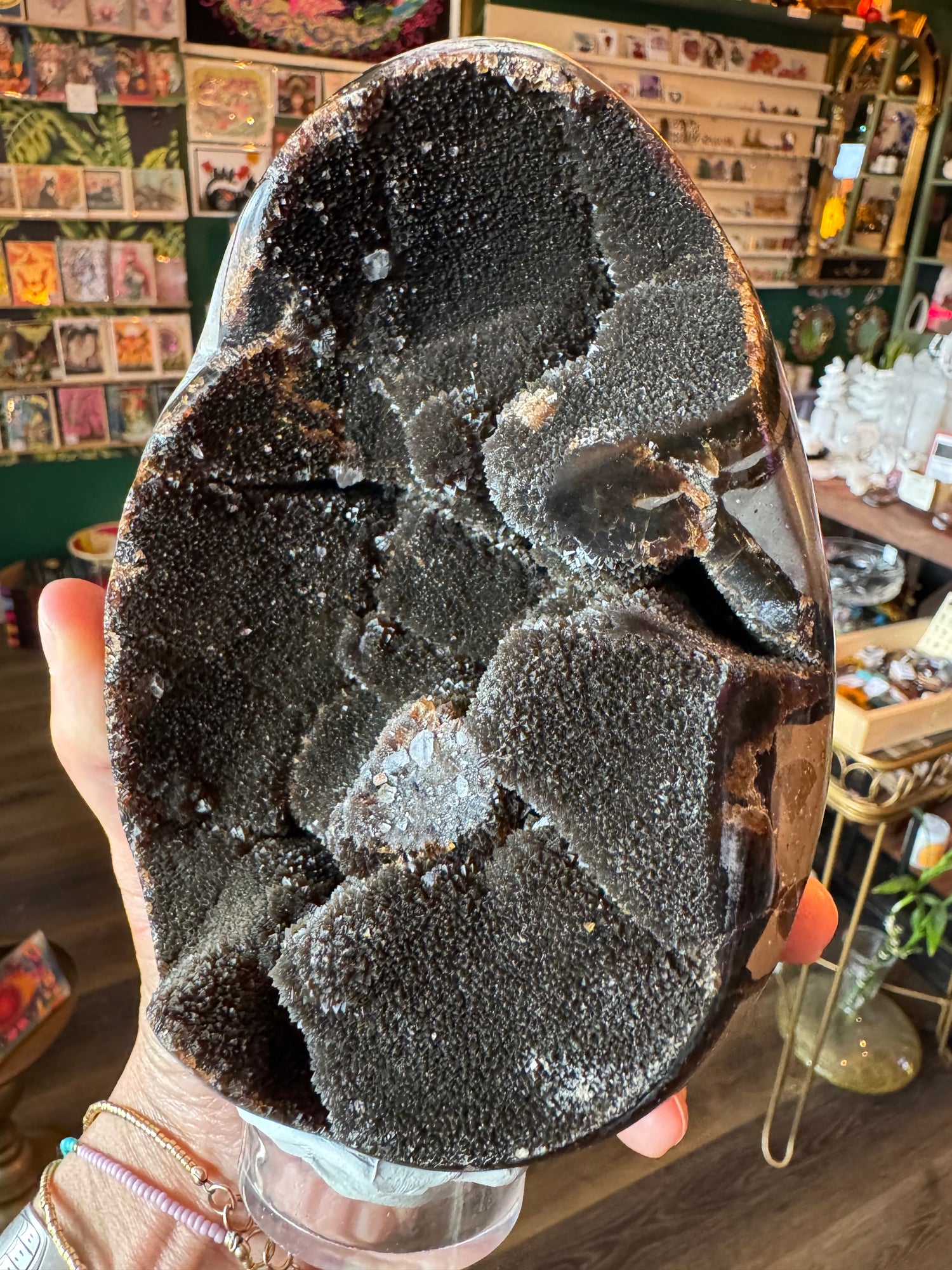 Septarian Dragon Egg -3.88 lb - Moon Room Shop and Wellness