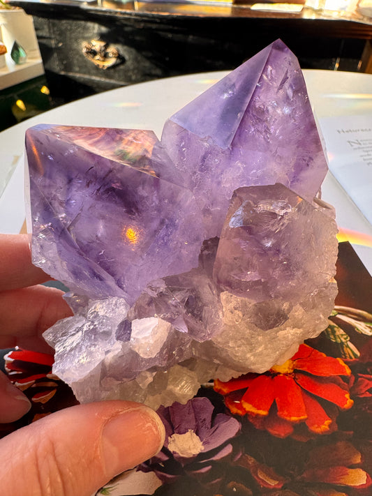 Phantom Amethyst Cluster 1.56 lb Brazil - Moon Room Shop and Wellness