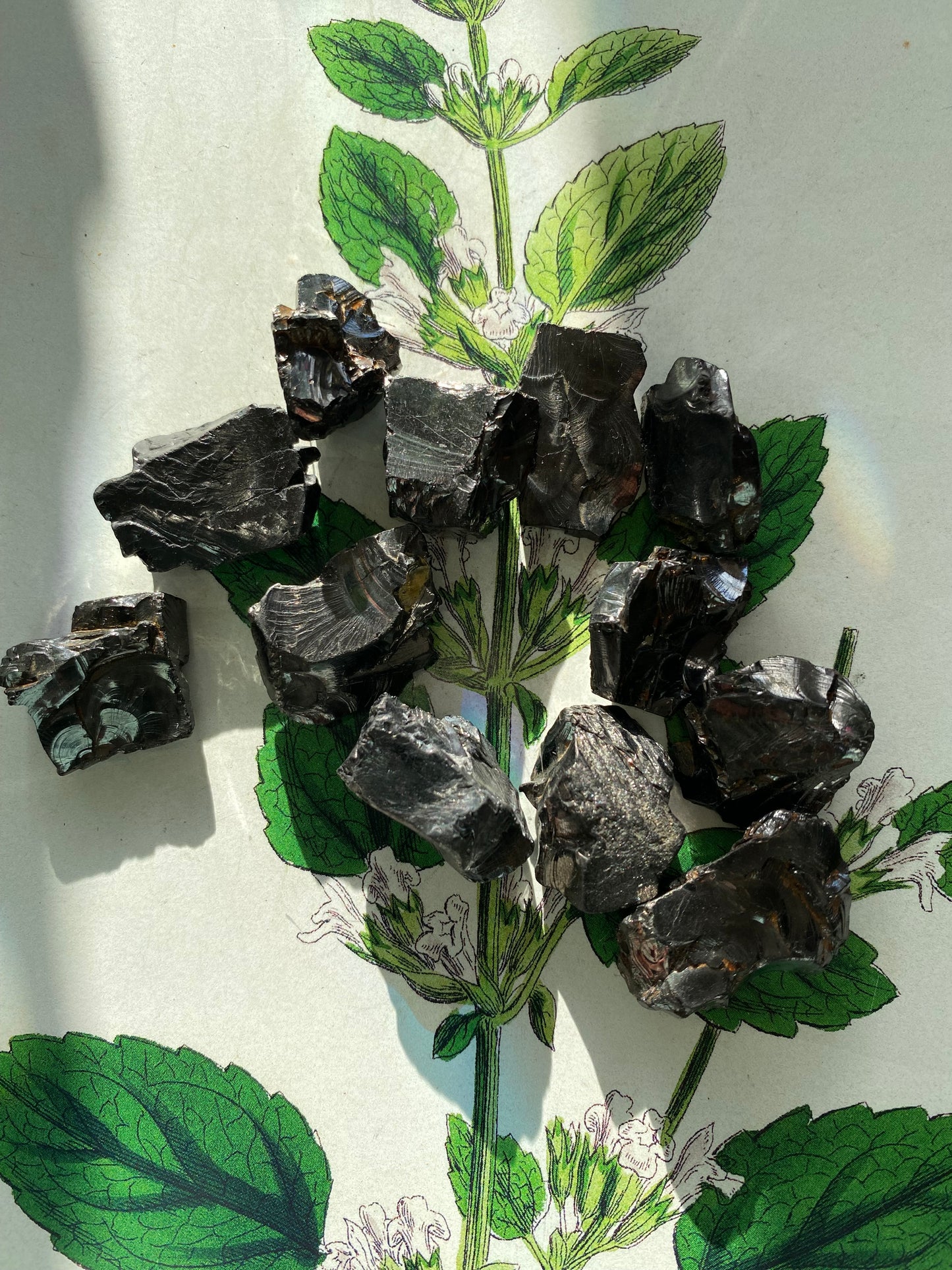 Elite Noble Shungite -1 piece- Russia - Moon Room Shop and Wellness