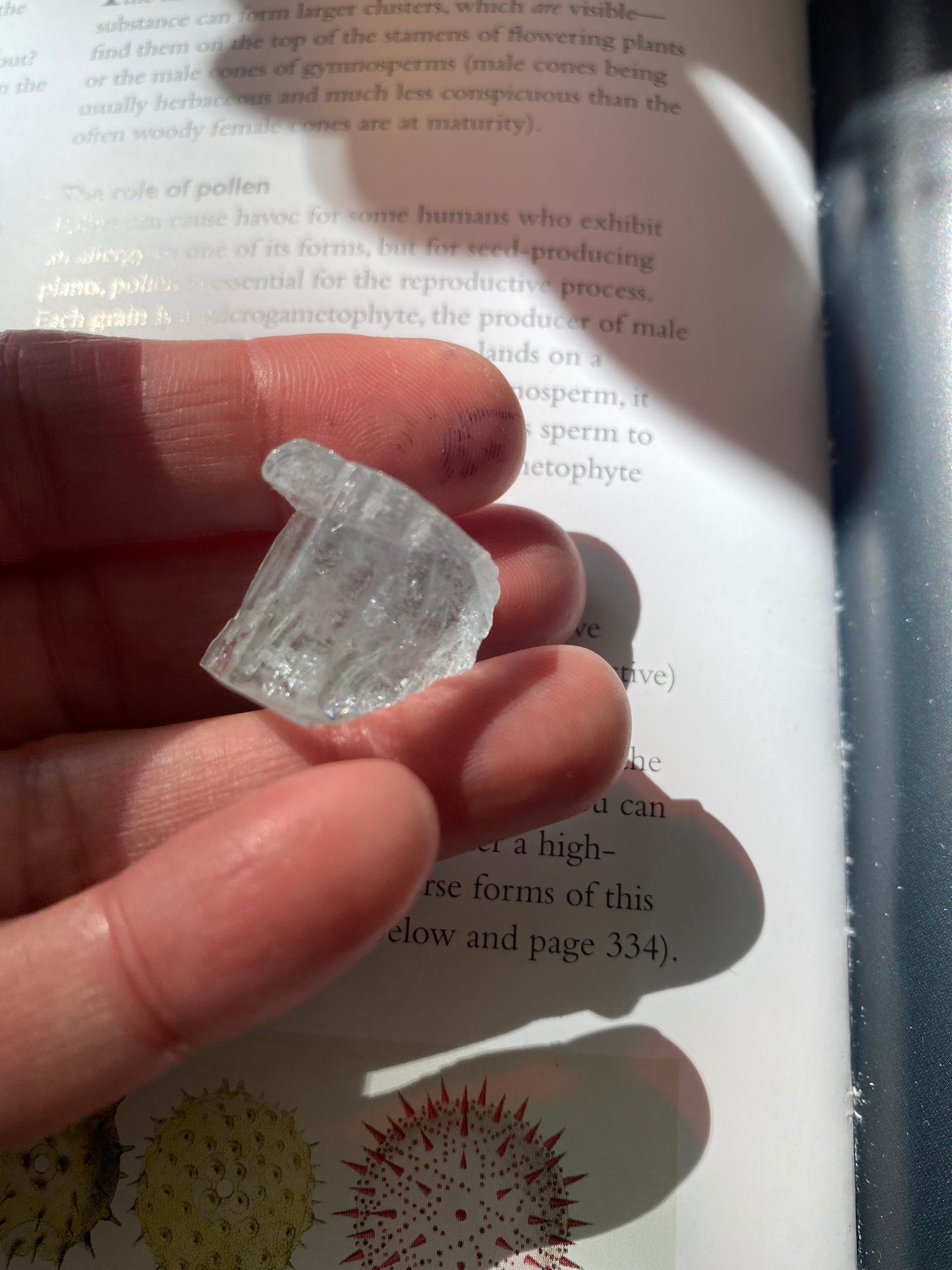 Natural Raw Aquamarine 50 ct - Moon Room Shop and Wellness