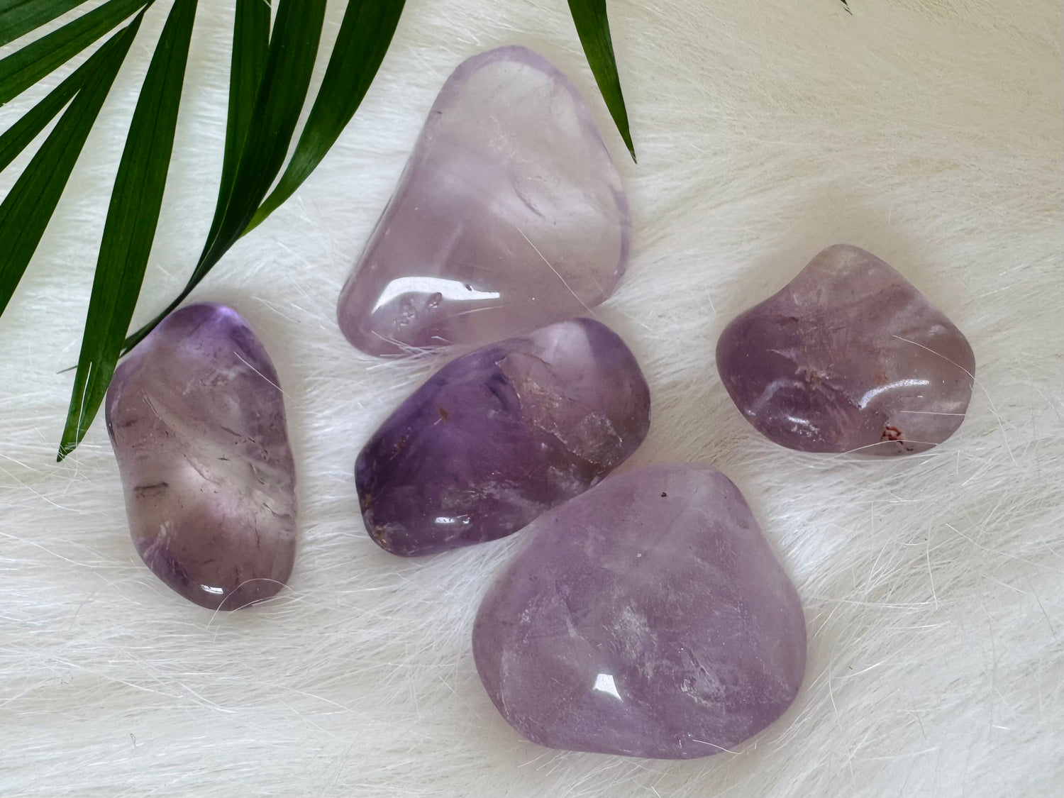 Amethyst Tumbled - Moon Room Shop and Wellness