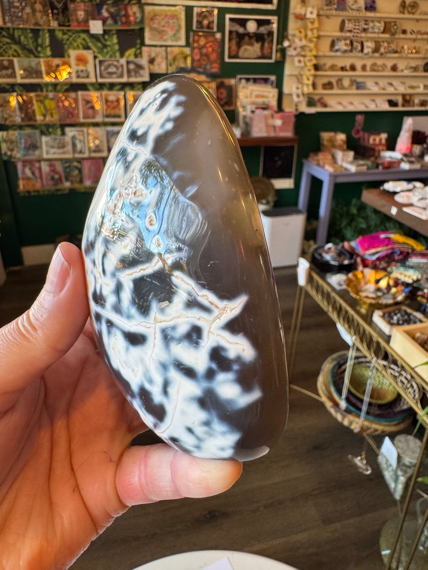Orca Agate Freeform 1.52 lb - Moon Room Shop and Wellness
