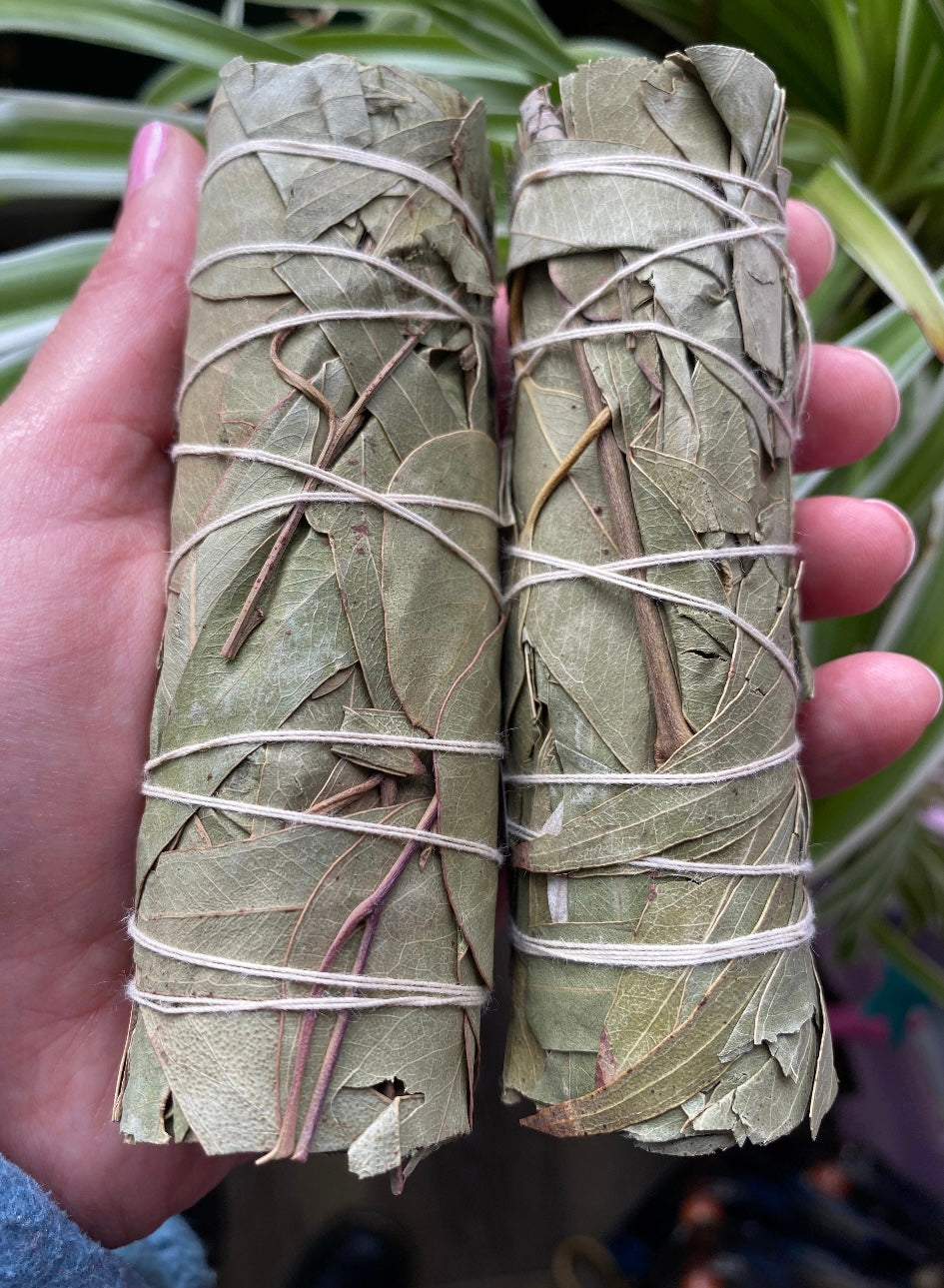 Eucalyptus Smudge Bundles - Moon Room Shop and Wellness