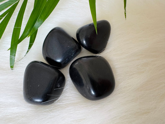 Black Tourmaline Tumbled - Moon Room Shop and Wellness