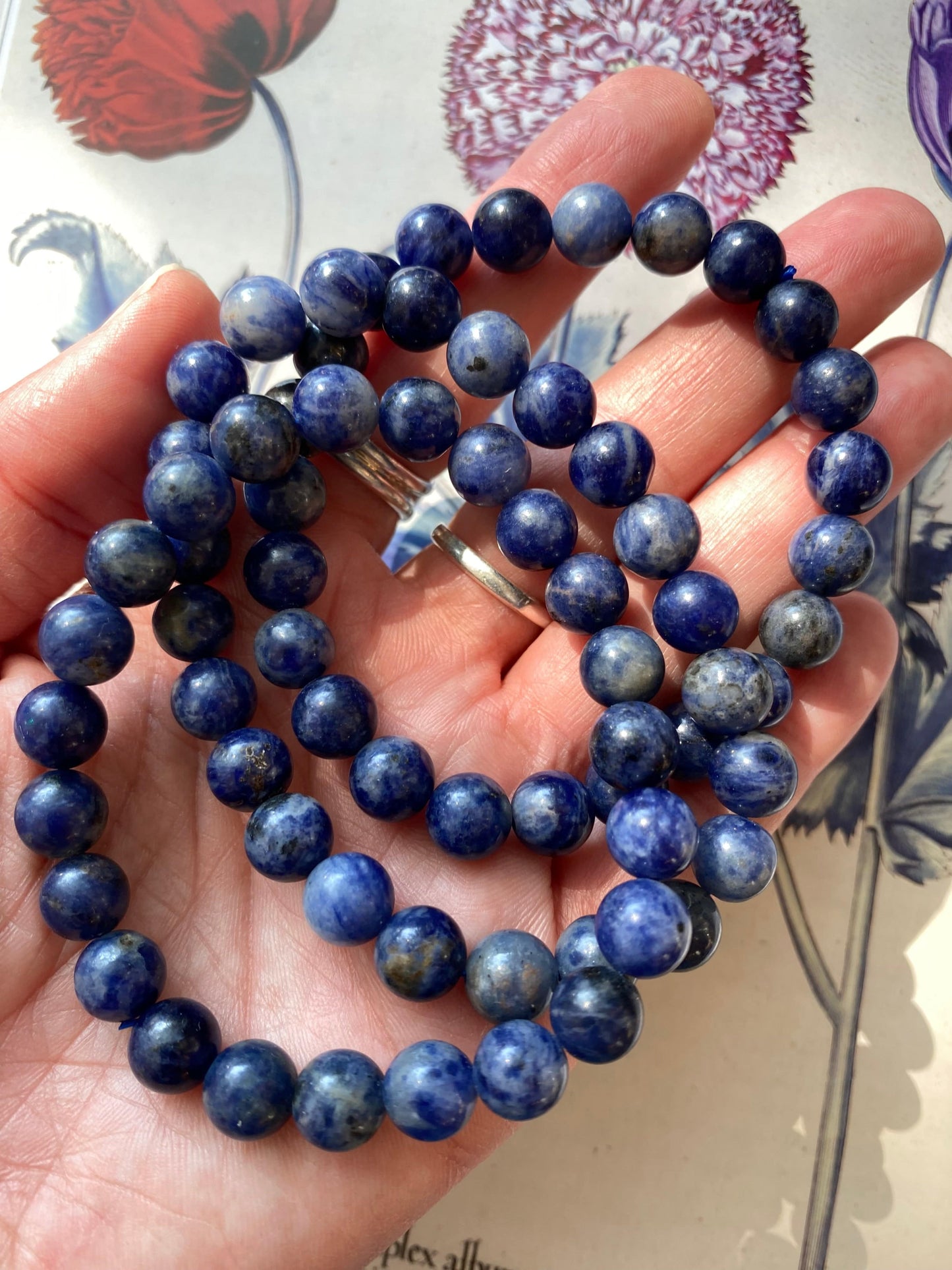 Sodalite Stretch Bracelet 8mm - Moon Room Shop and Wellness