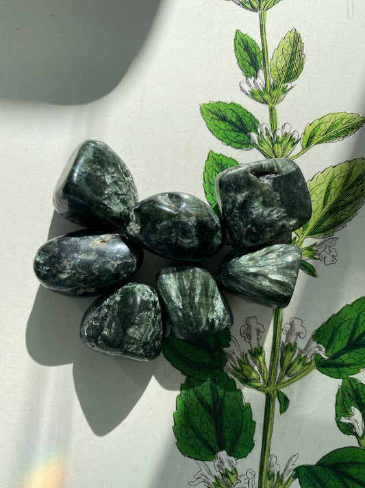 Seraphinite Tumbled- Russia - Moon Room Shop and Wellness