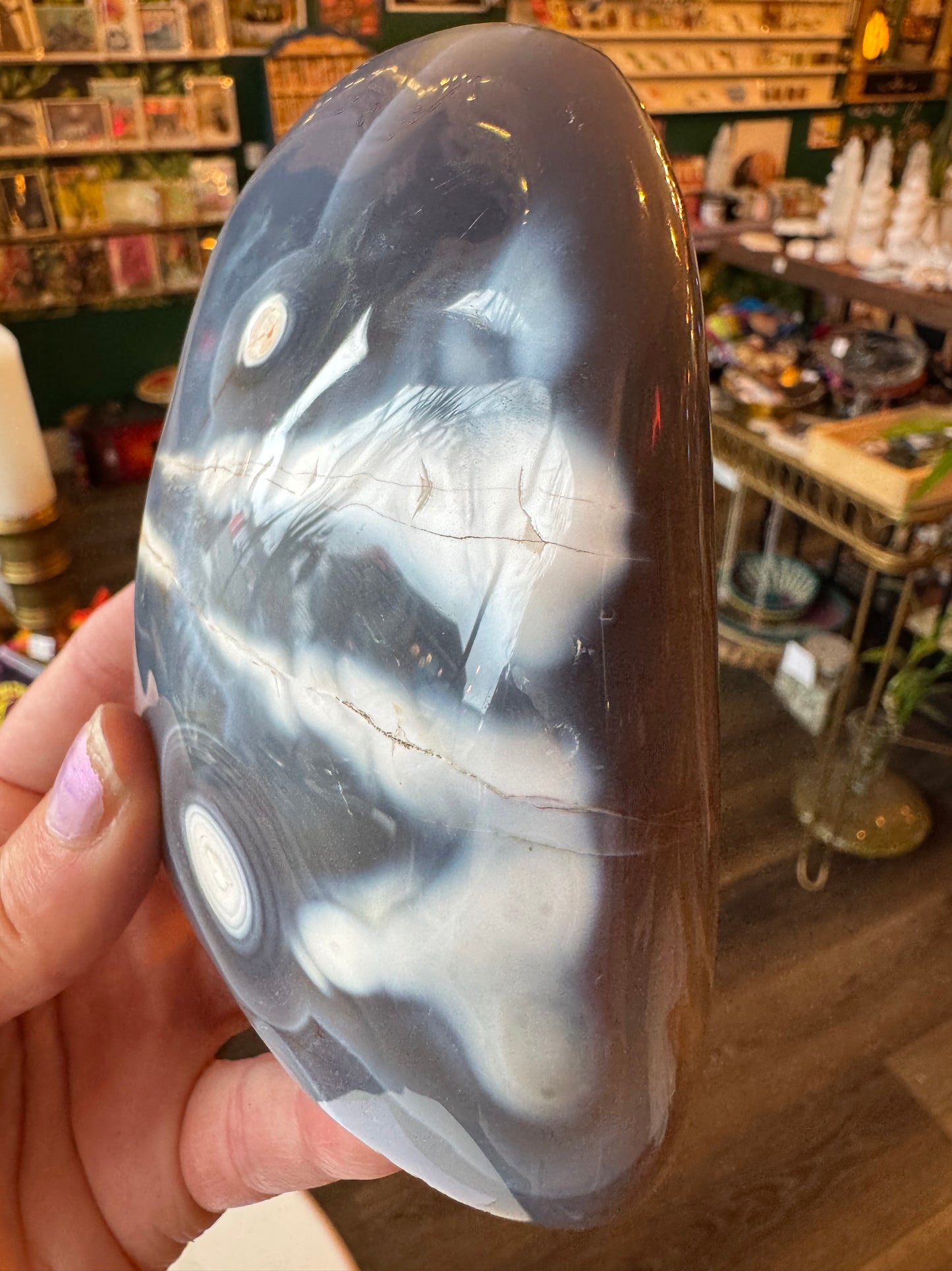 Orca Agate Freeform 1.24 lb - Moon Room Shop and Wellness