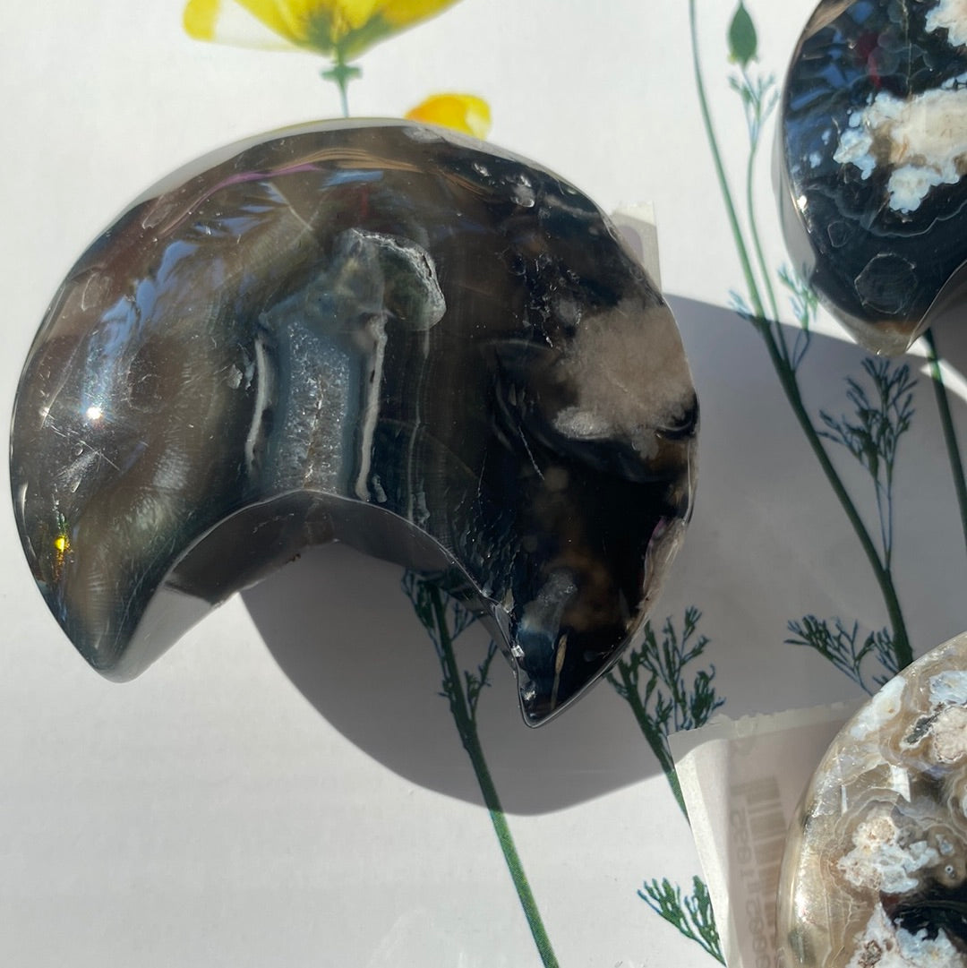 Black Flower Agate Crescent Moon - Moon Room Shop and Wellness