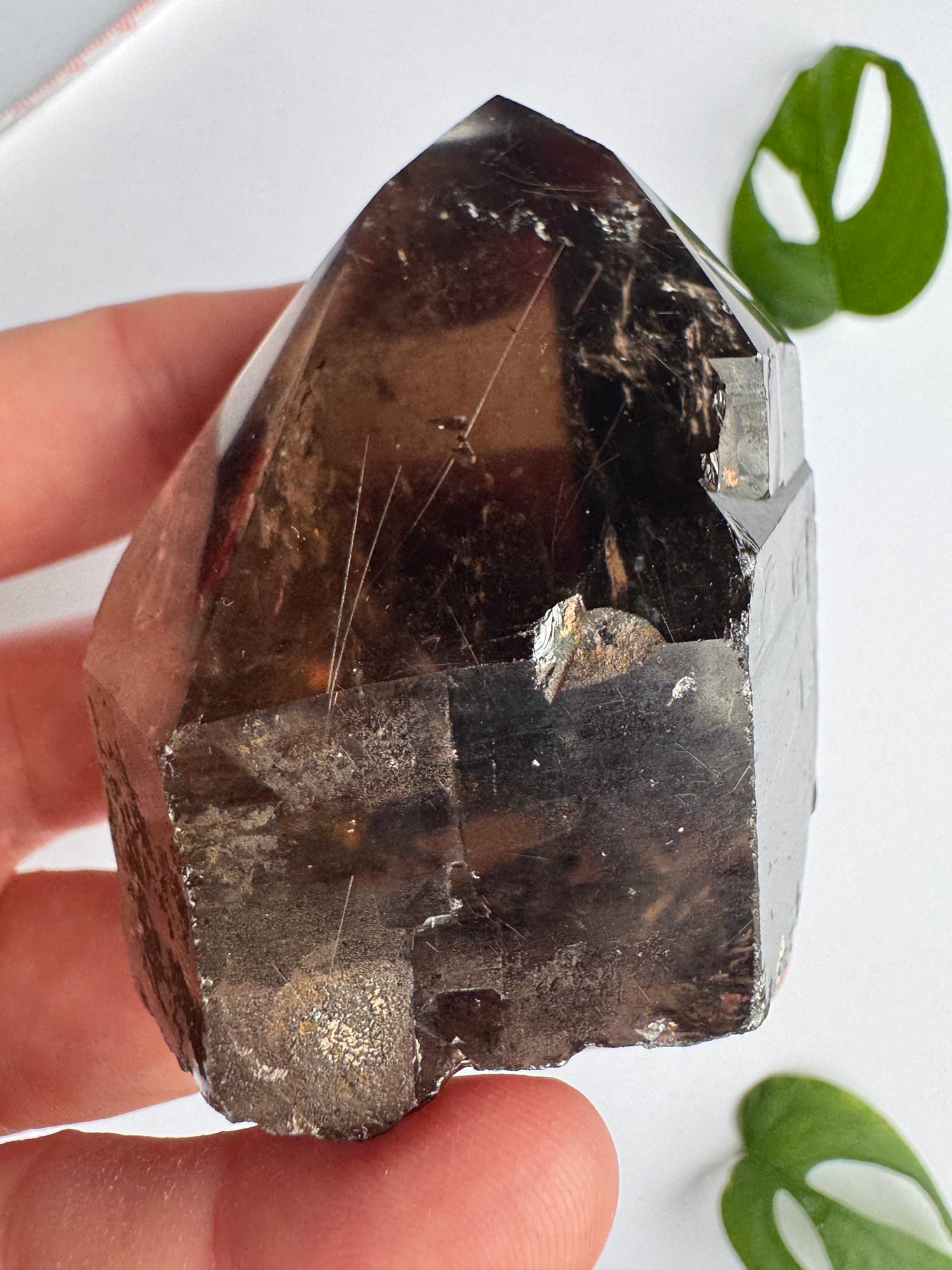 Smoky Quartz Rutilated Beauty 160 g. Brazil - Moon Room Shop and Wellness