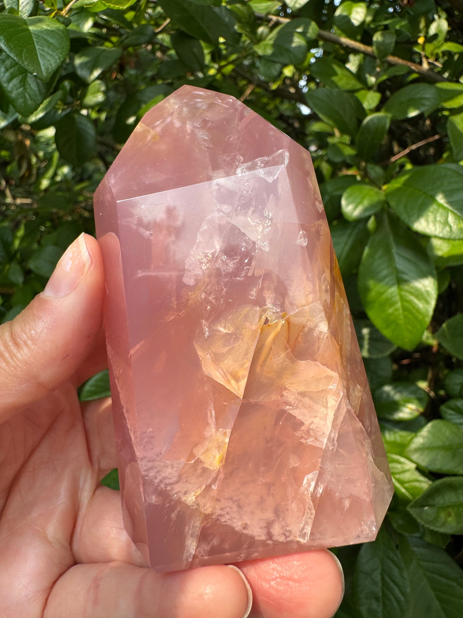 Guava Rose Quartz w Golden Healer - Gorgeous! 304 g - Brazil - Moon Room Shop and Wellness