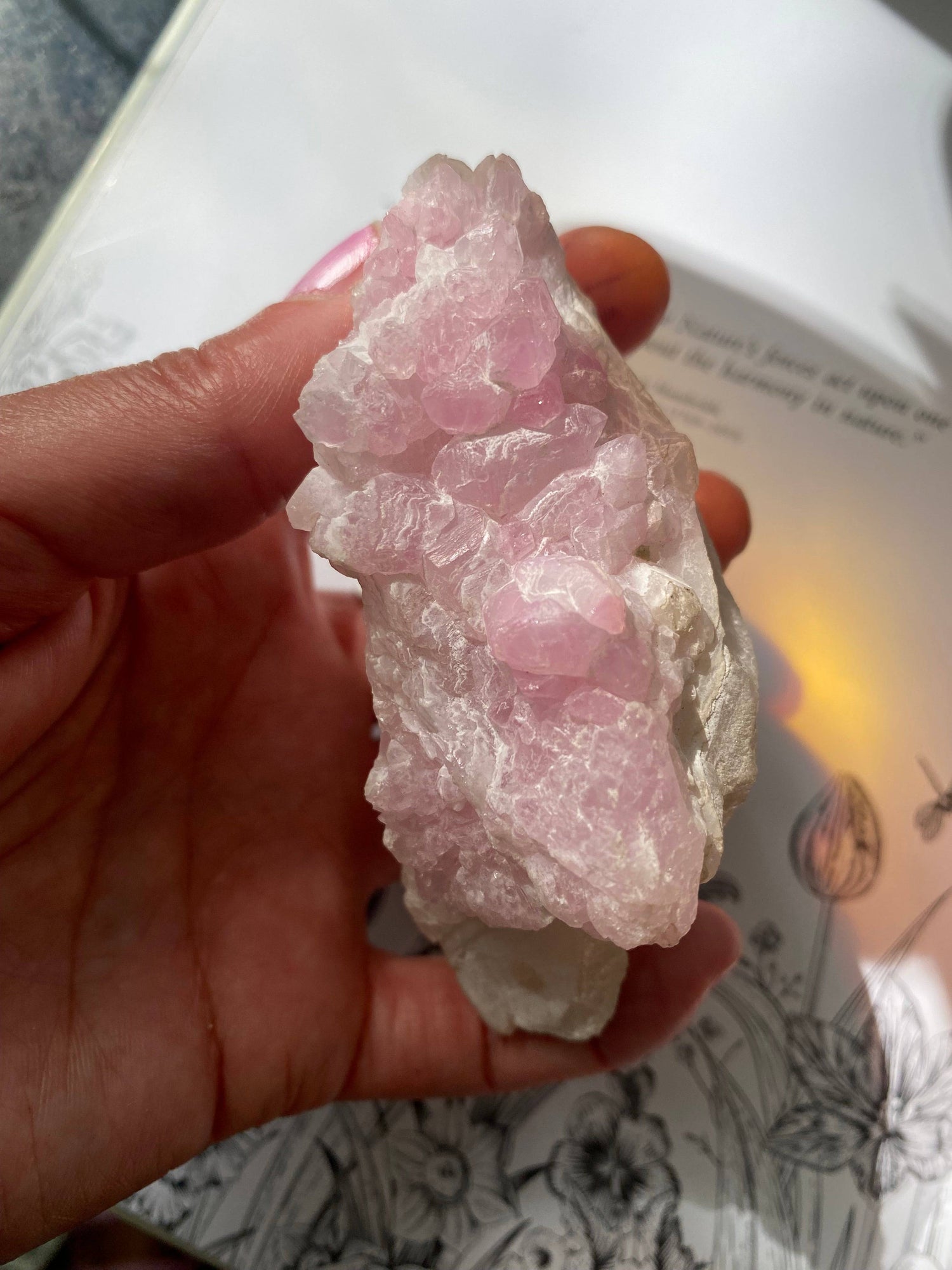 Rose Quartz Crystal Cluster 185 g Brazil - Moon Room Shop and Wellness