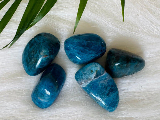 Blue Apatite Tumbled - Moon Room Shop and Wellness