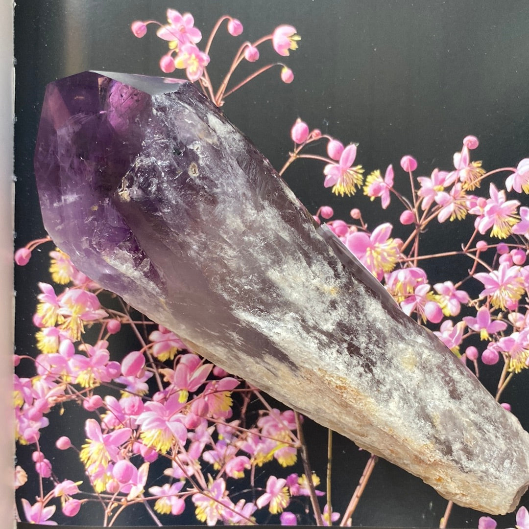 Amethyst Dragon's Tooth Spear Grade A - 411 g - Moon Room Shop and Wellness