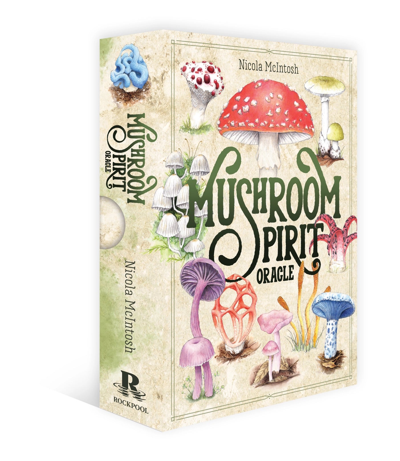 Mushroom Spirit Oracle Deck w/ Book - Moon Room Shop and Wellness