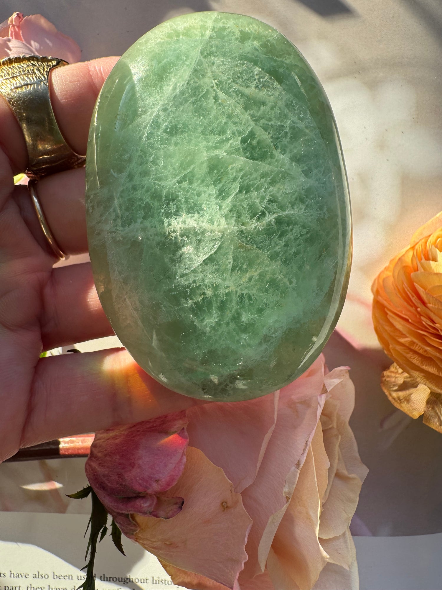 Green Fluorite Palmstone 162 g - Moon Room Shop and Wellness