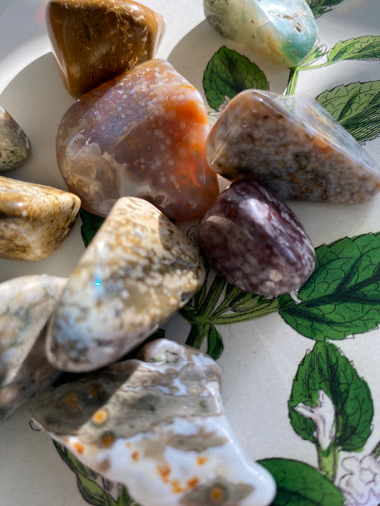 Ocean Jasper Tumbled - Ethically Sourced - Moon Room Shop and Wellness