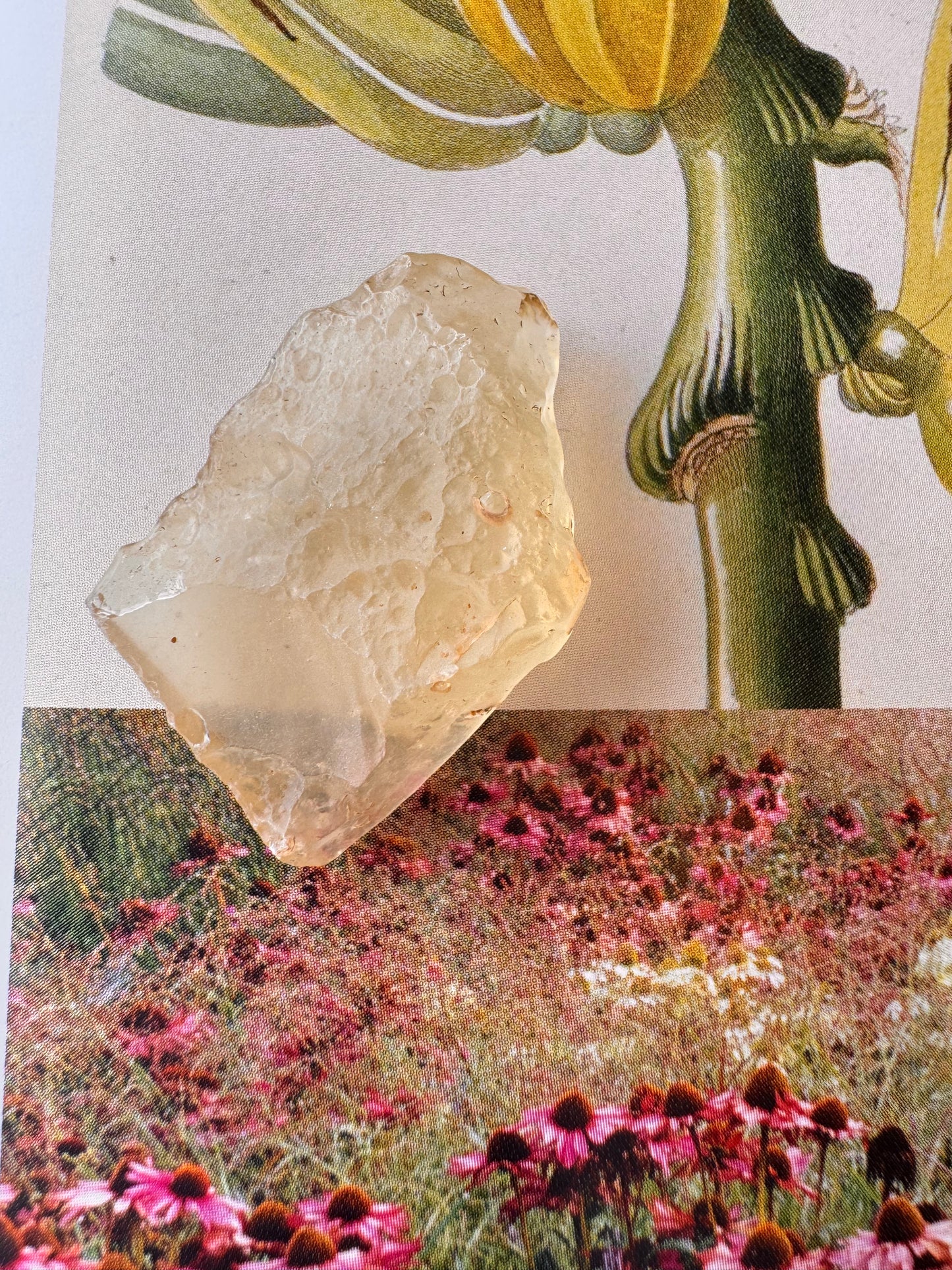 Libyan Desert Glass Tektite 5.5 gram - Moon Room Shop and Wellness