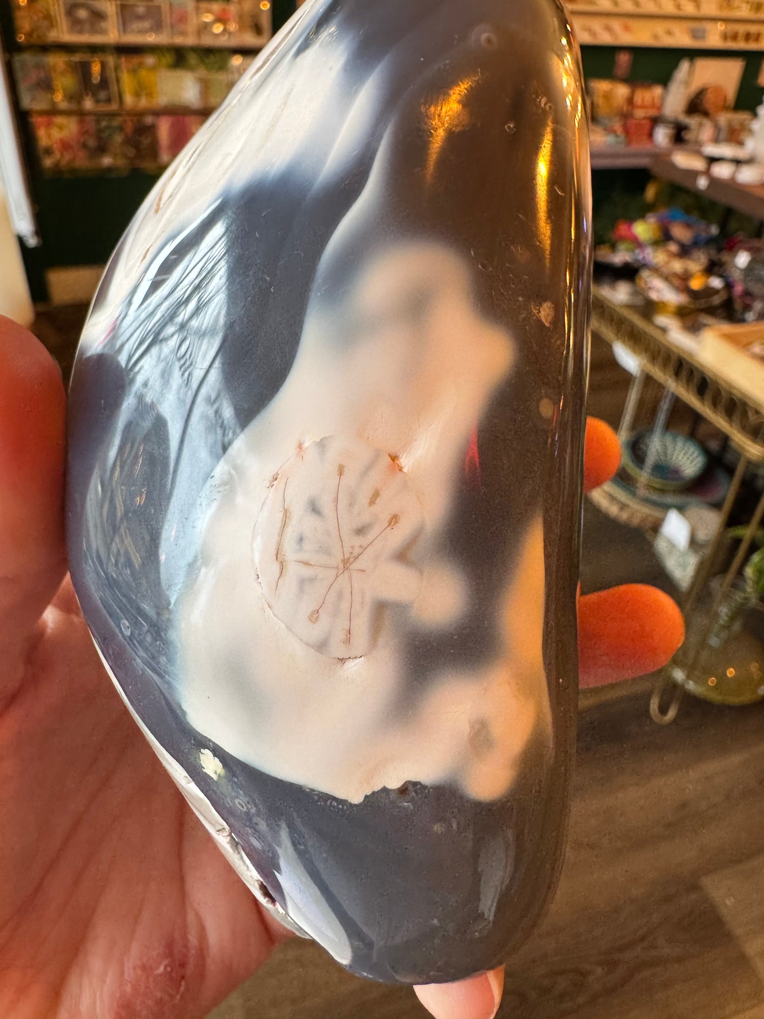 Orca Agate Freeform 2.53 lb - Moon Room Shop and Wellness