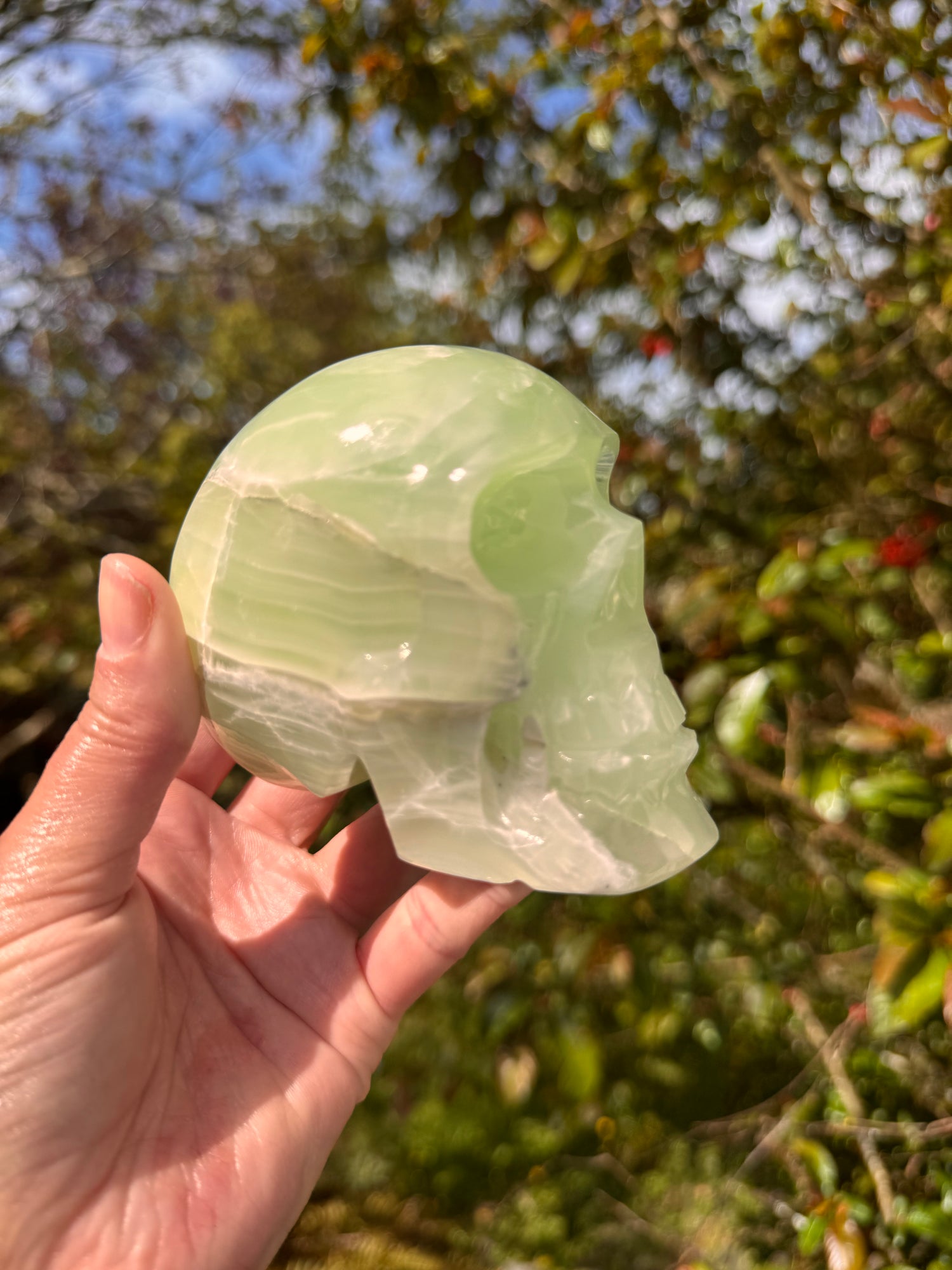 Green Onyx/Calcite Skull  1.76 lb Mexico - Moon Room Shop and Wellness