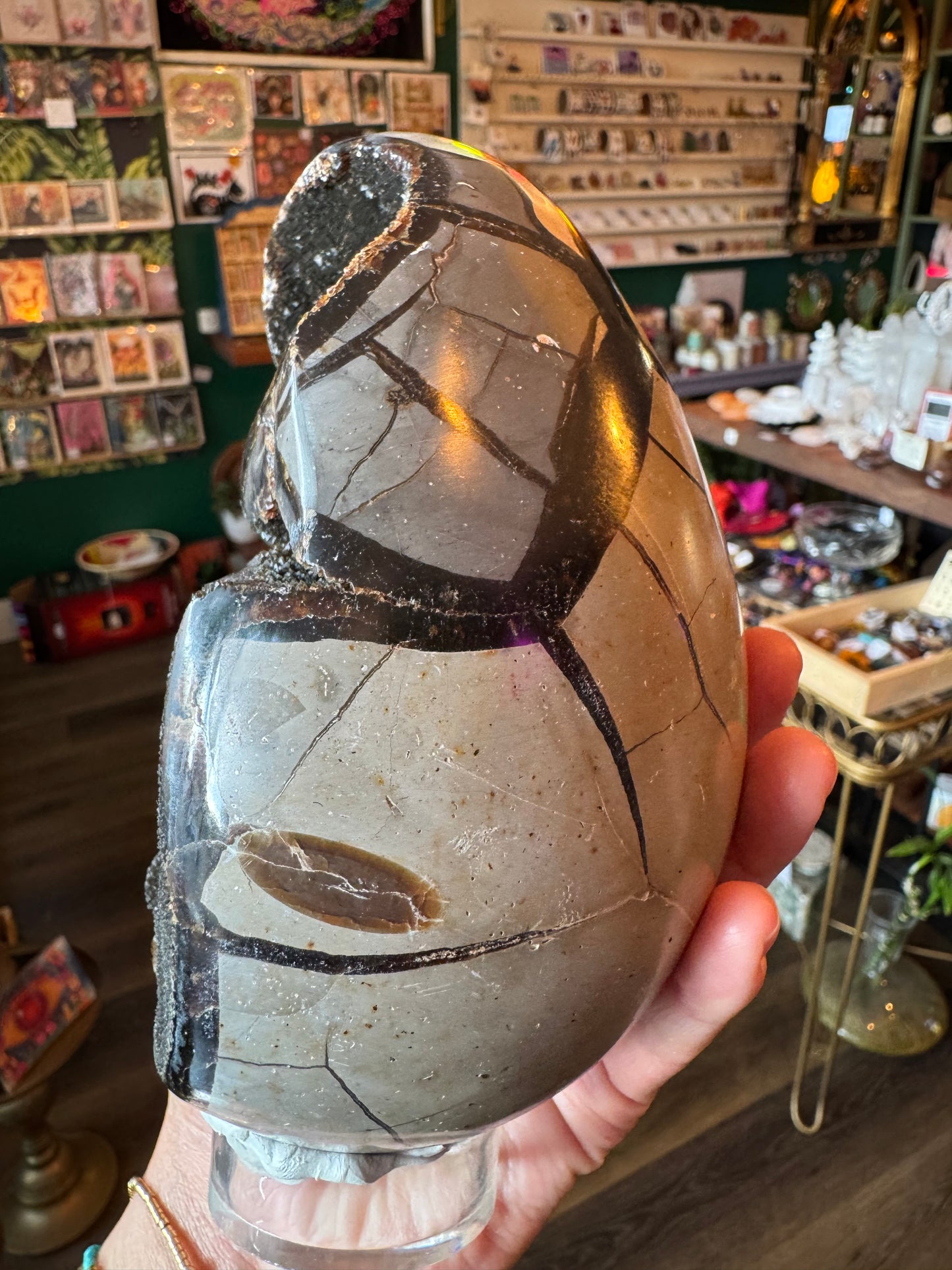 Septarian Dragon Egg -3.88 lb - Moon Room Shop and Wellness