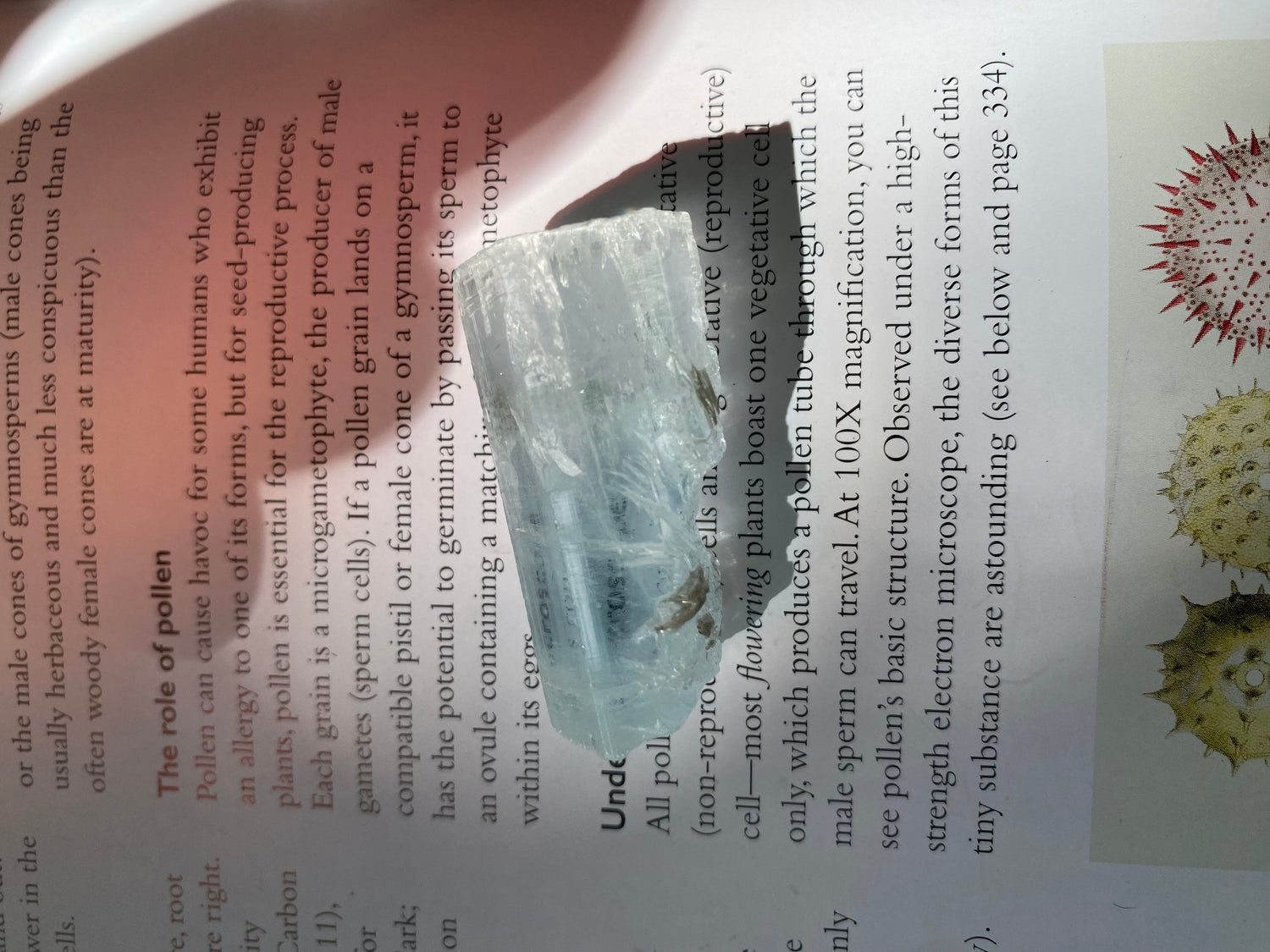 Natural Raw Aquamarine 124 ct - Moon Room Shop and Wellness