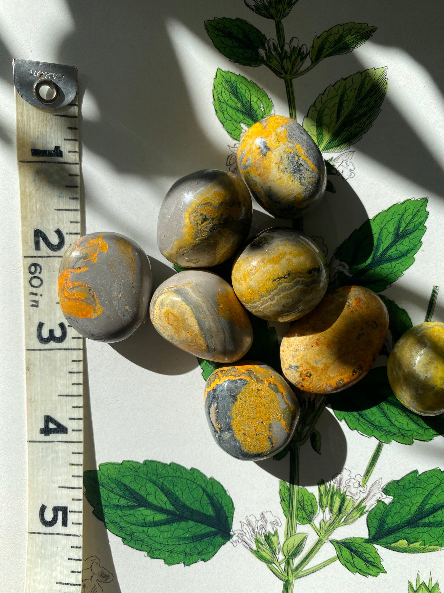 Bumblebee Jasper Tumbled - Moon Room Shop and Wellness