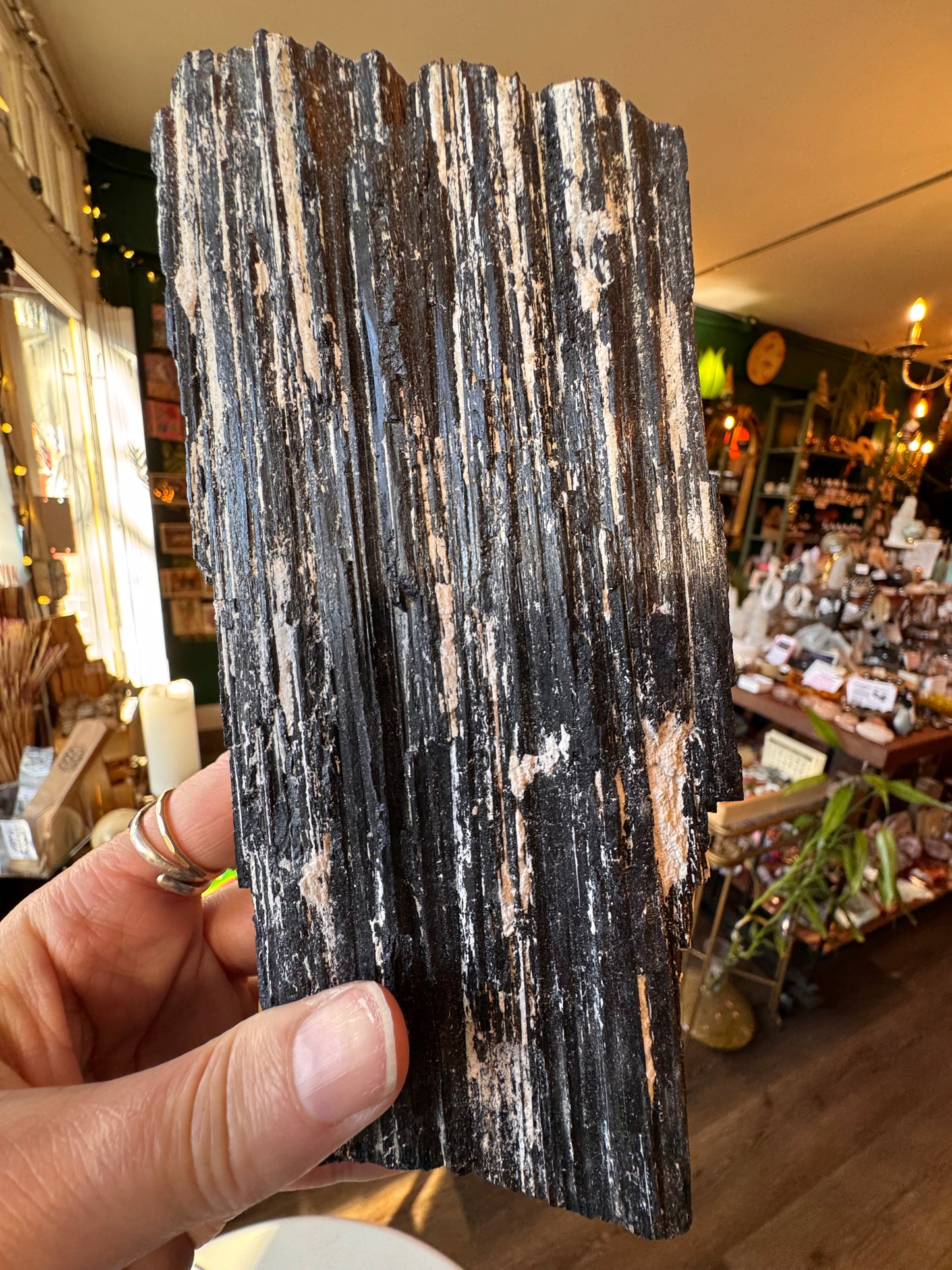 Black Tourmaline Raw 2.42 lb - Moon Room Shop and Wellness