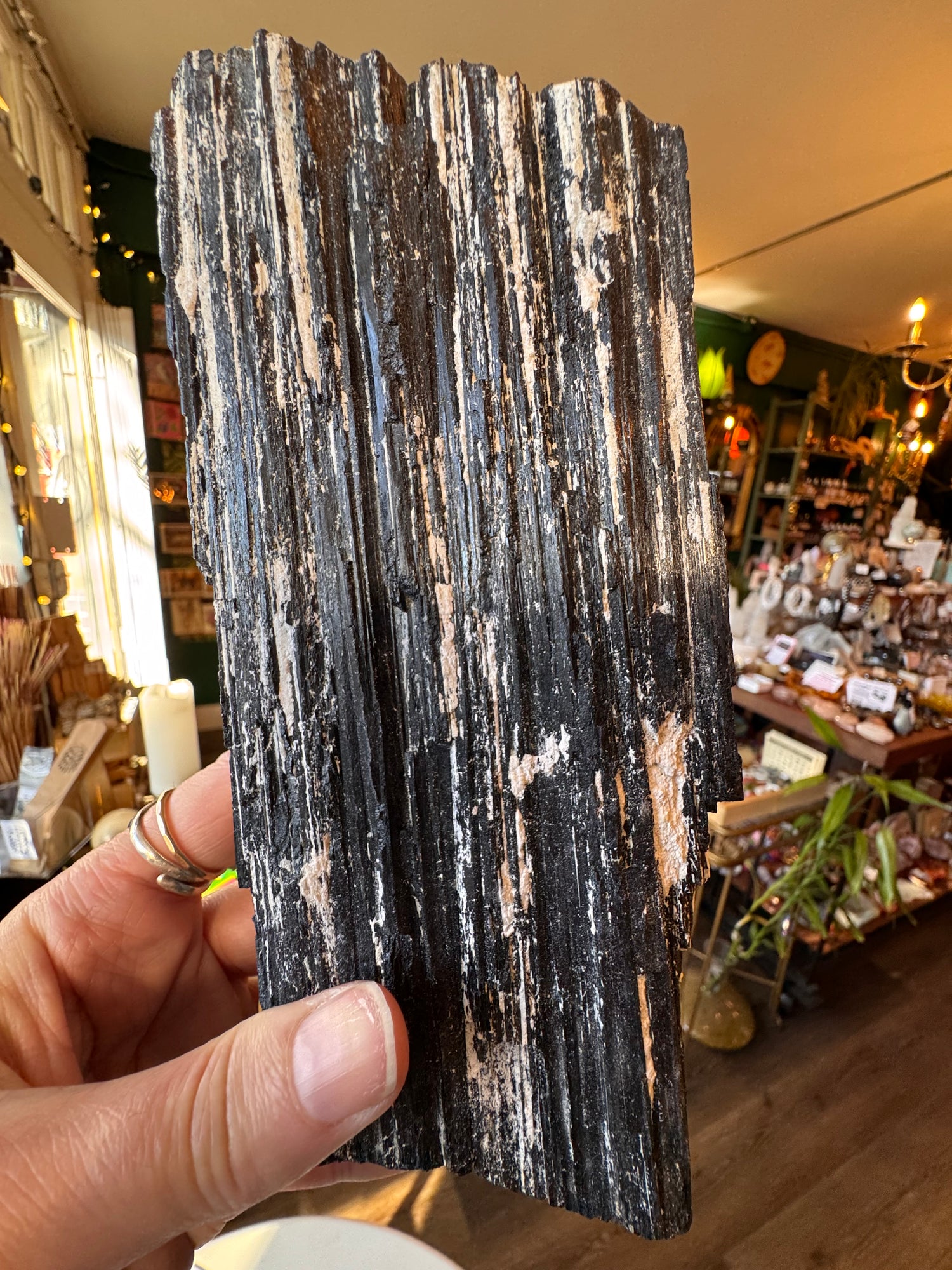 Black Tourmaline Raw 2.42 lb - Moon Room Shop and Wellness