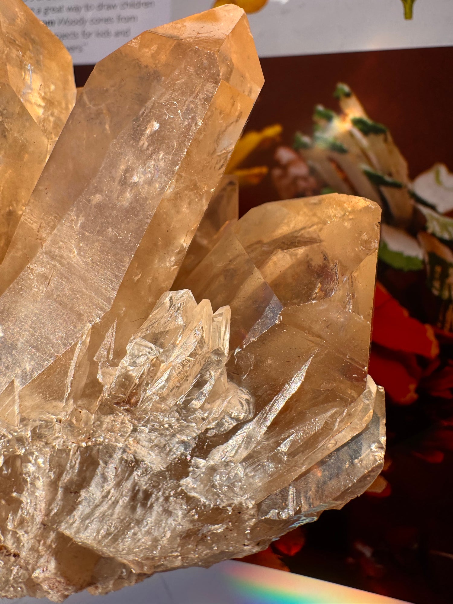 Citrine Natural Specimens- 1.04 lb- Congo - Moon Room Shop and Wellness