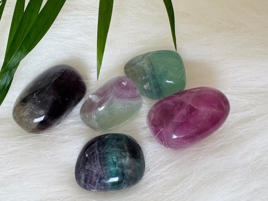 Fluorite Tumbled - Moon Room Shop and Wellness
