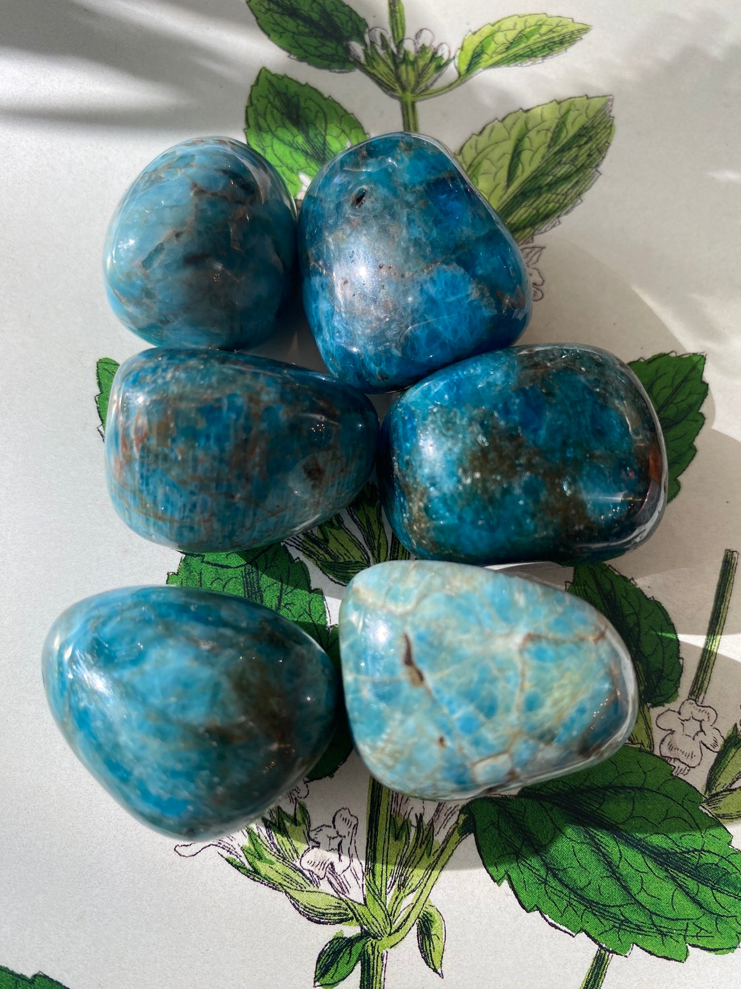 Blue Apatite Tumbled - Moon Room Shop and Wellness