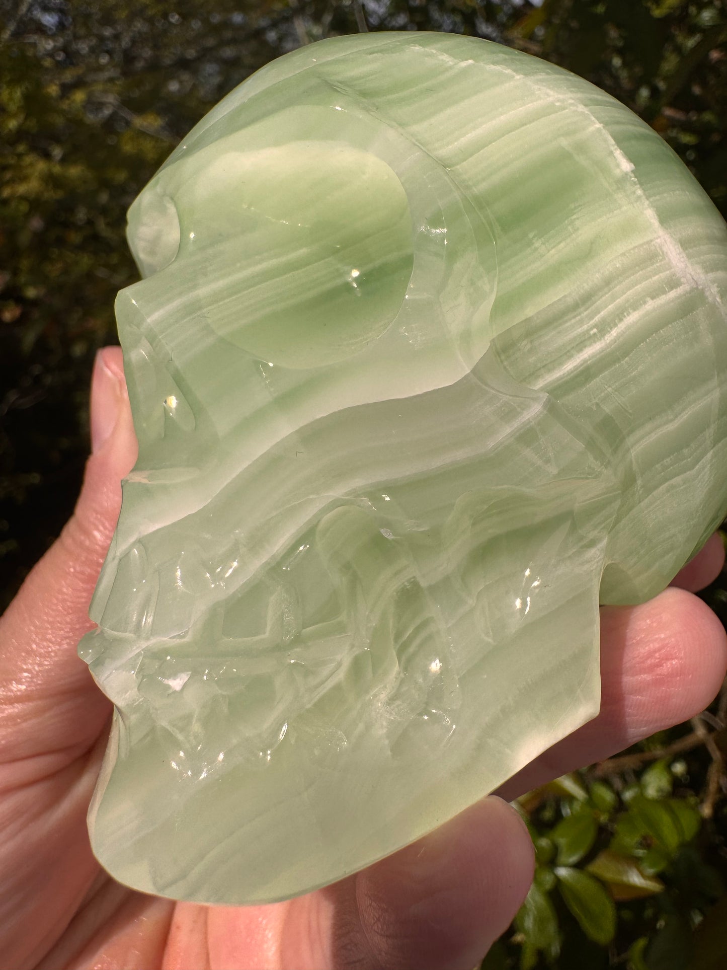 Green Onyx/Calcite Skull  1.76 lb Mexico - Moon Room Shop and Wellness