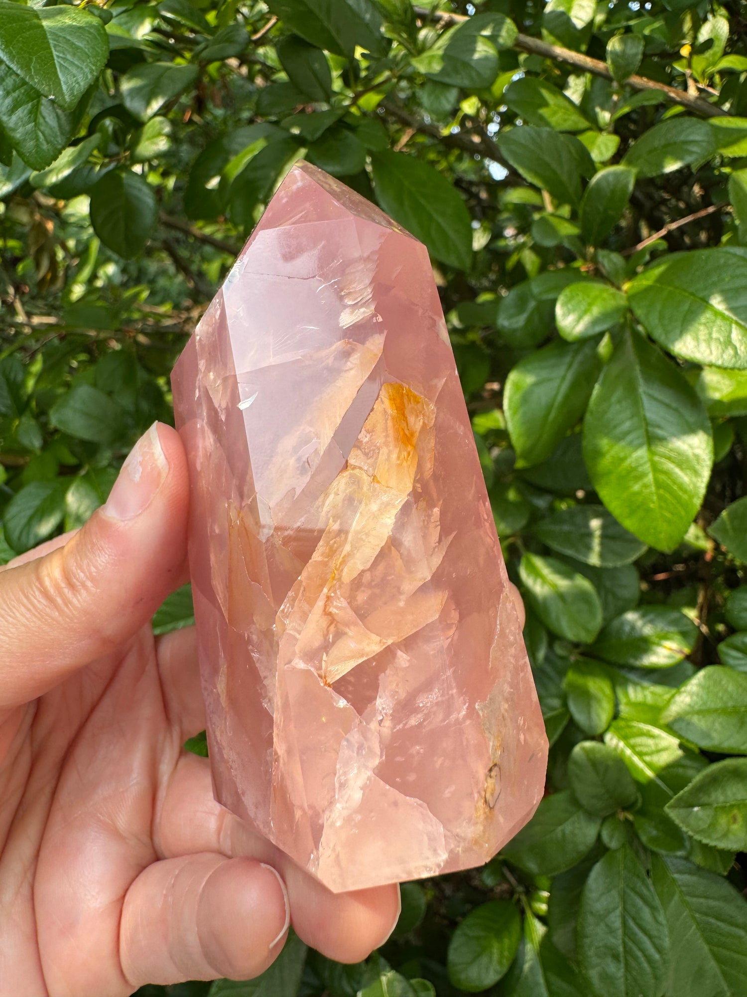 Guava Rose Quartz w Golden Healer - Gorgeous! 304 g - Brazil - Moon Room Shop and Wellness