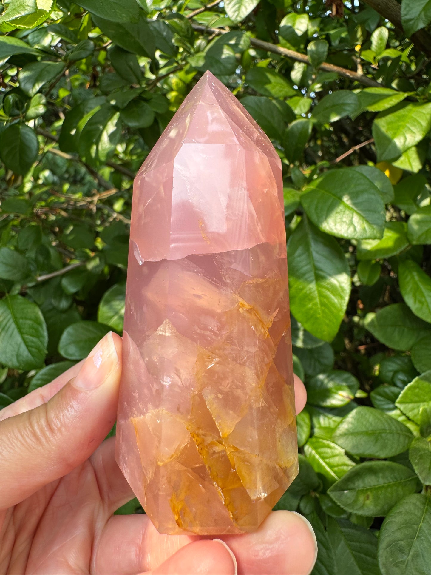 Guava Rose Quartz w Golden Healer - Gorgeous! 254 g - Brazil - Moon Room Shop and Wellness
