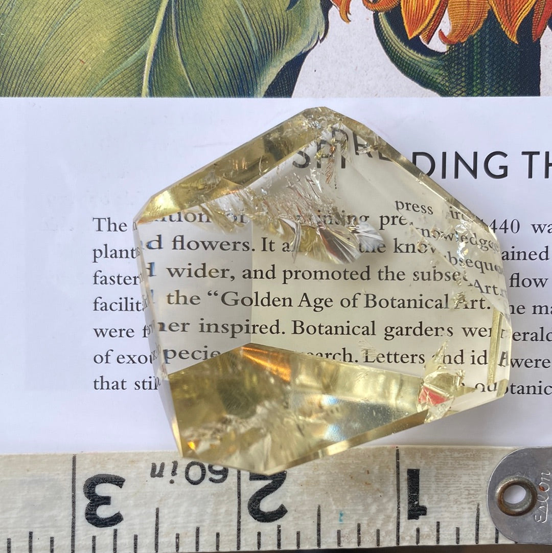 Citrine Freeform 71g