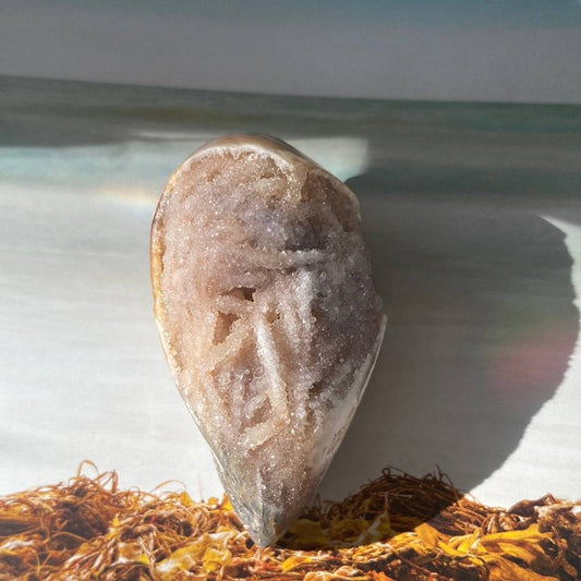 Spiralite Fossilized Gemshell 37g India - Moon Room Shop and Wellness