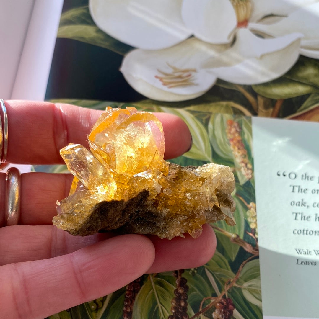 Golden Selenite w/ Halite - 24g - Peru- UV Reactive - Moon Room Shop and Wellness
