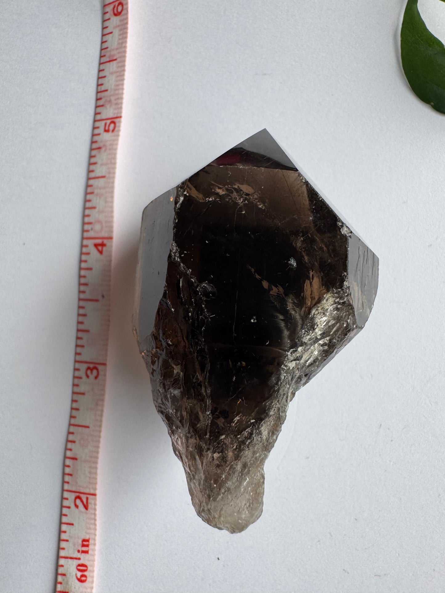 Smoky Quartz Rutilated Beauty 84 g. Brazil - Moon Room Shop and Wellness