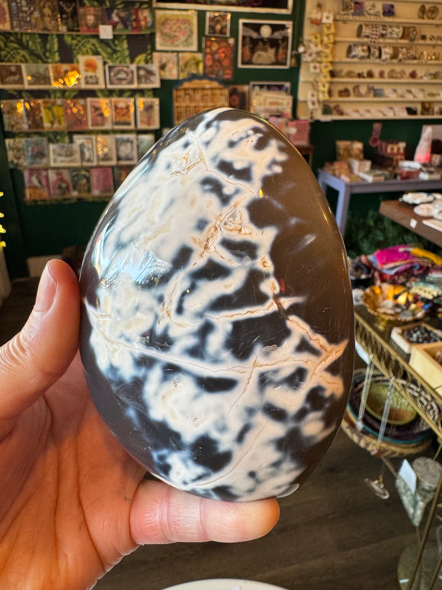 Orca Agate Freeform 1.52 lb - Moon Room Shop and Wellness