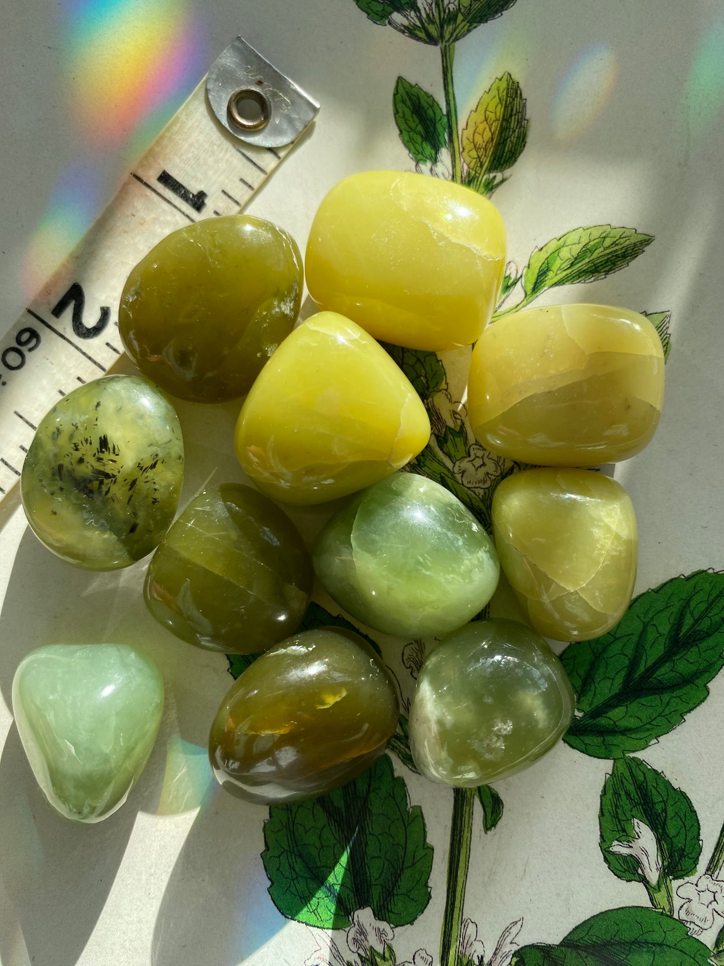 Nephrite Jade Tumbled - Moon Room Shop and Wellness