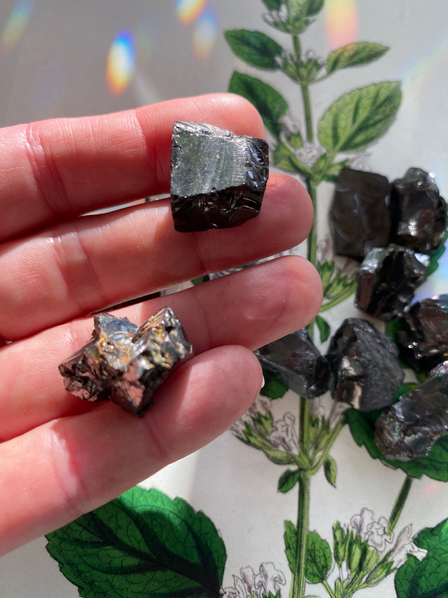 Elite Noble Shungite -1 piece- Russia - Moon Room Shop and Wellness