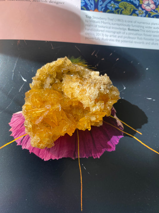 Golden Selenite w/ Halite - 22 g - Peru- UV Reactive - Moon Room Shop and Wellness