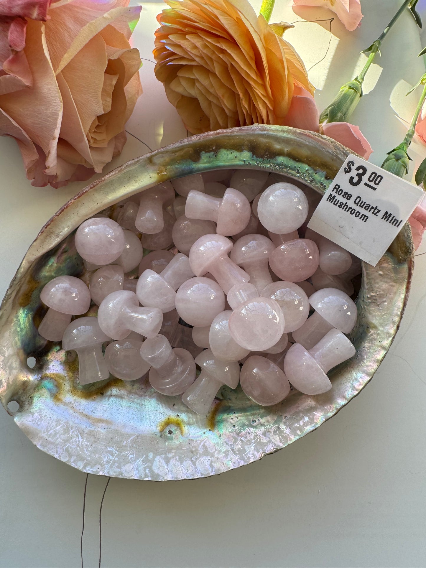 Rose Quartz Mini Mushroom - Moon Room Shop and Wellness