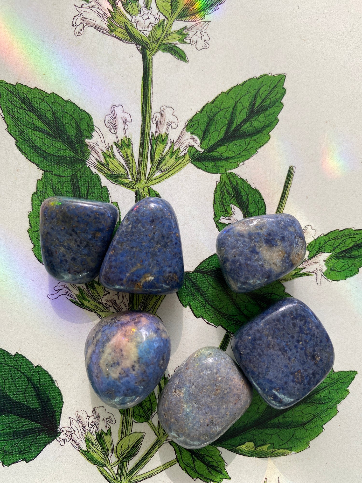 Dumortierite Tumbled - Moon Room Shop and Wellness